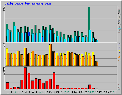 Daily usage for January 2026