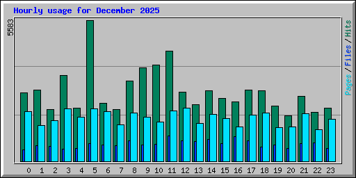 Hourly usage for December 2025