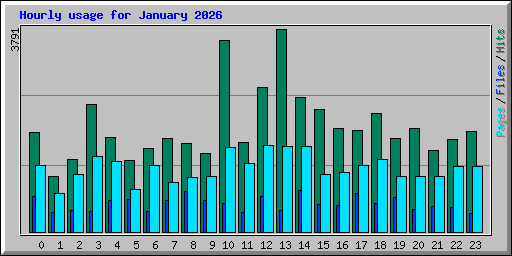 Hourly usage for January 2026
